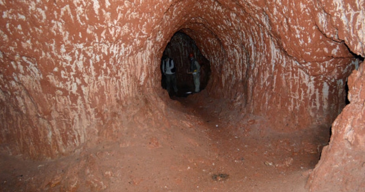Os misteriosos túneis do Brasil feitos por preguiças gigantes